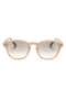 Sunglasse